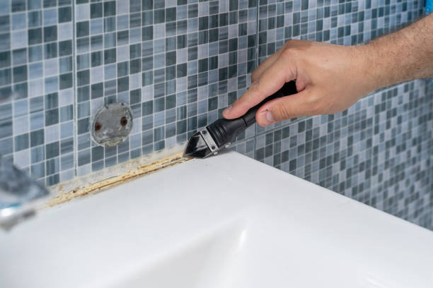 Best Kitchen Mold Remediation in Red Lick, TX